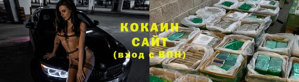 ГАЛЛЮЦИНОГЕННЫЕ ГРИБЫ Богданович