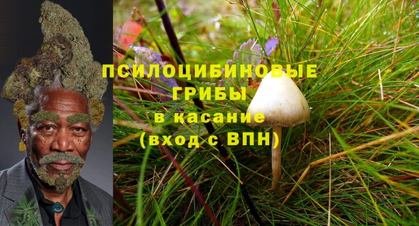 прущая мука Бородино