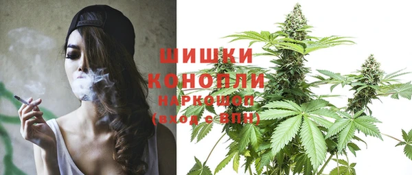 прущая мука Бородино