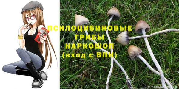 мет Бронницы