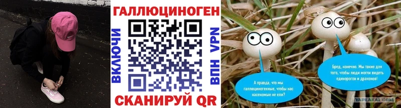 дарнет шоп  Минусинск  гидра ONION  Псилоцибиновые грибы Cubensis 